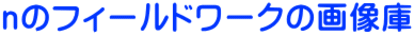 ｎのフィールドワークの画像庫